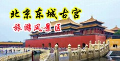 又大插又大插爽视频中国北京-东城古宫旅游风景区